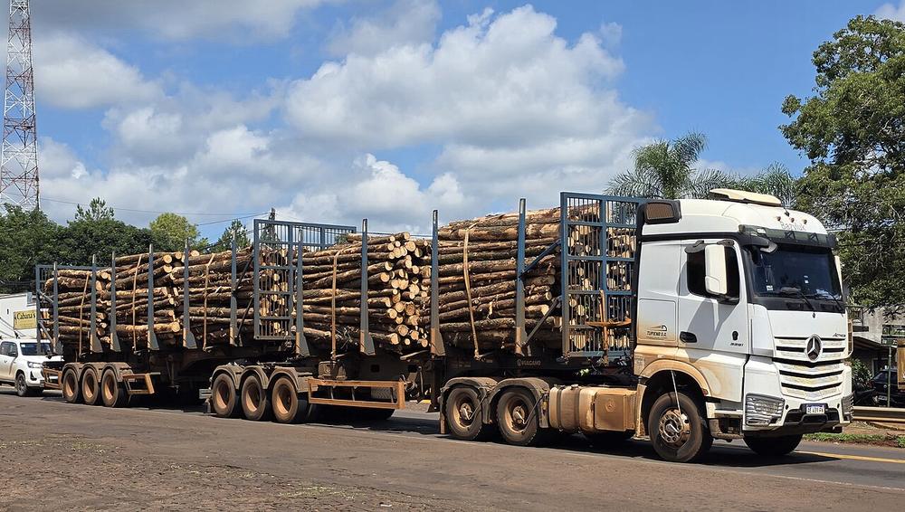 Imagen de apoyo: Los vehículos que transportan productos forestales deben llevar, además de las luces obligatorias: