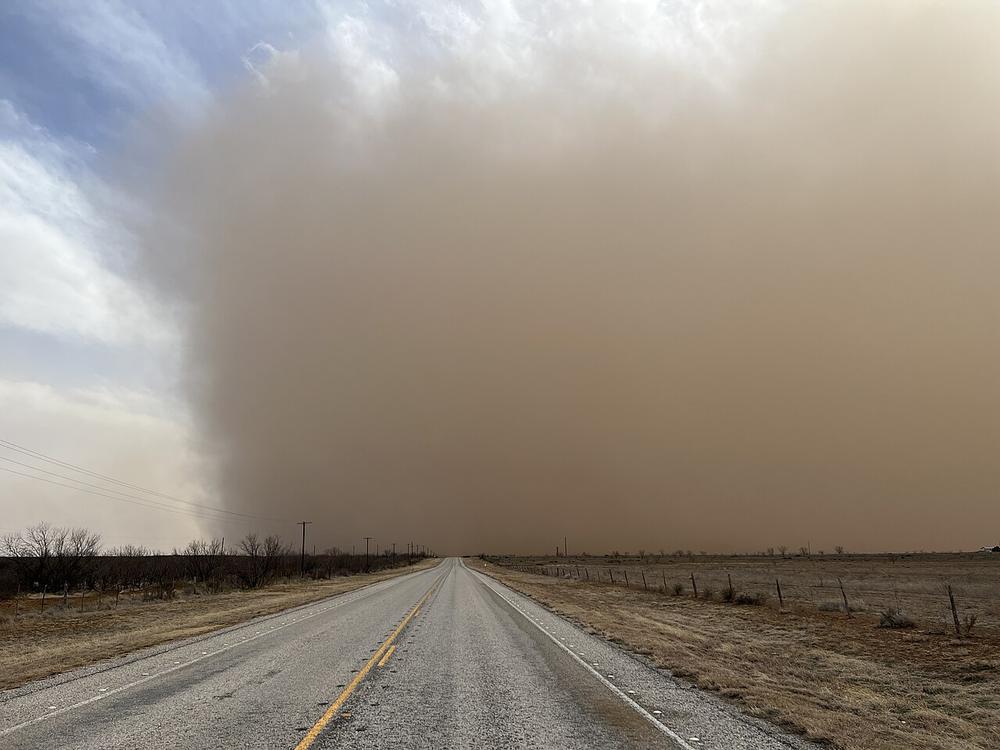 Imagen de apoyo: Ante una tormenta o ventisca de arena debes: